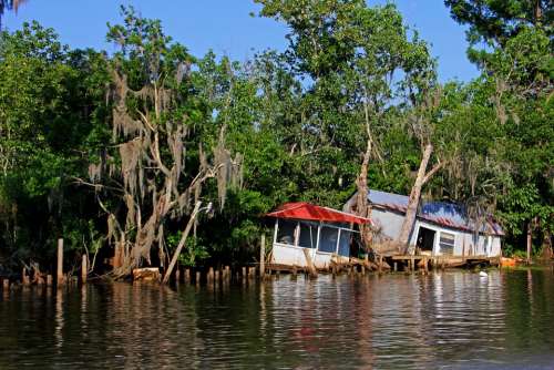 Diladitated Camp River Swamp Hurricane Destroyed