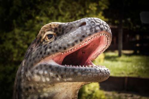 Dinosaur Teeth Gad Dangerous Predator Hunt