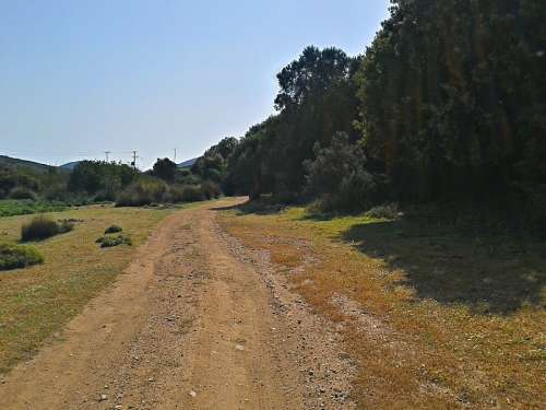 Dirt Road Gravel Road Path Countryside Greece
