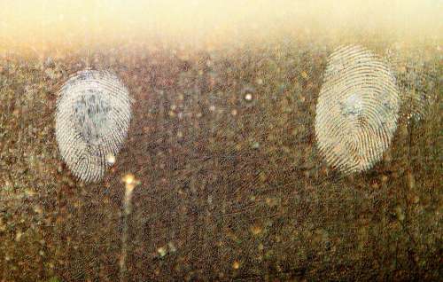 Dirt Dirty Fingerprints Forensics Glass Grease