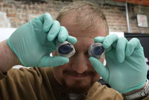 Dissection Cow Science Biology Man Eye Gloves