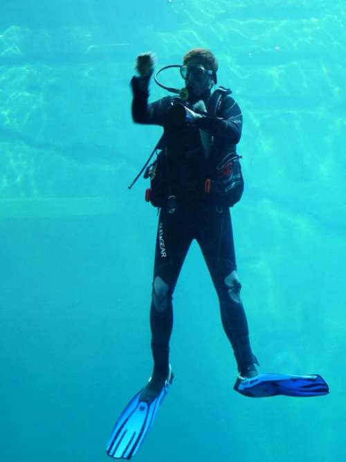 Divers Diving Suit Fins Underwater