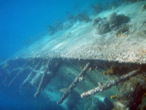 Diving Underwater Wreck Aruba Sea Vacations