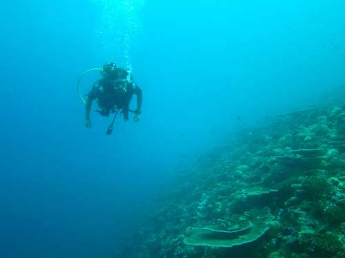 Diving Maldives Sea Ocean Diving Suit Deep Diving