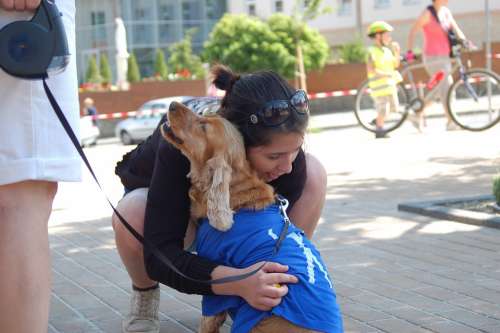 Dog Host Hug Service Pecel