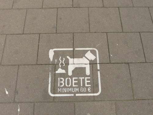 Dog Booger Fine Forbidden Belgium Sidewalk Feces