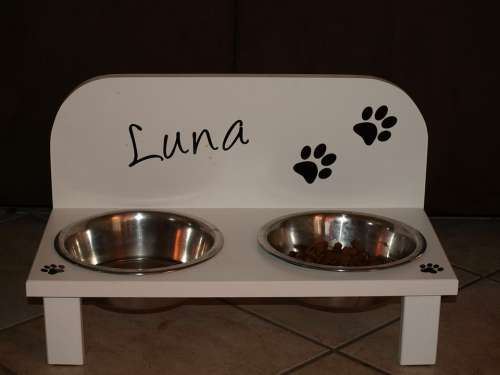 Dog Bowl Bowl Dog Eat Drink Dog Food Water