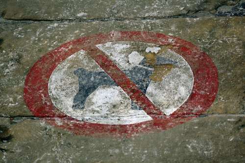 Dogs Ban Dog Ban Shield Prohibited