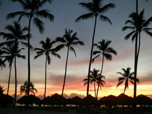 Dominican Republic Beach Sunrise Sea Palm
