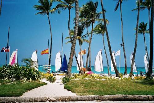 Dominican Republic Caribbean Sea Beach Palm Trees