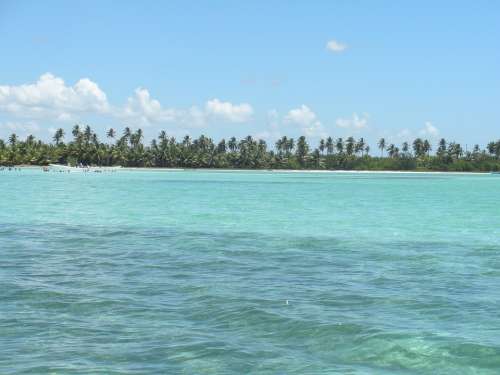 Dominican Republic Caribbean Sea Nature Blue Water