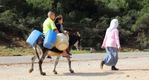 Donkey Riding Poor Road Africa Poverty Tunisia