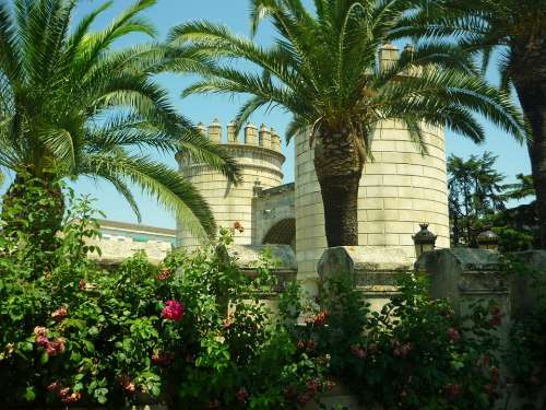 Door Wall Palms Badajoz Renaissance Gardens