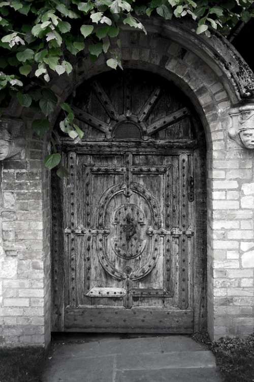 Door Oak Door Iron Studs Surface Texture
