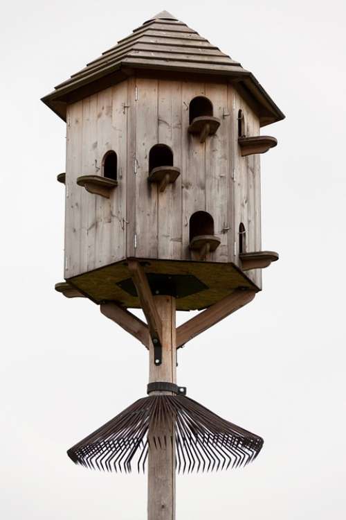 Dovecot Wooden House Pigeon Dove Box Birdhouse
