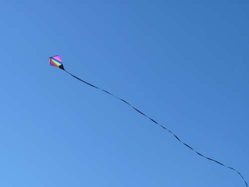Dragon Freedom Sky Kites Rise Flying Autumn