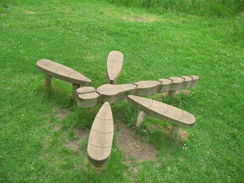 Dragonfly Field Wood Chair