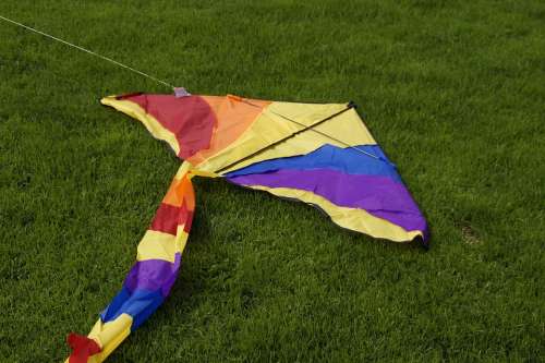 Dragons Colorful Kites Rise Autumn Wind Windy