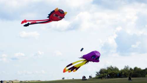 Dragons Play Fun Hobby Air Flying Sky Wind