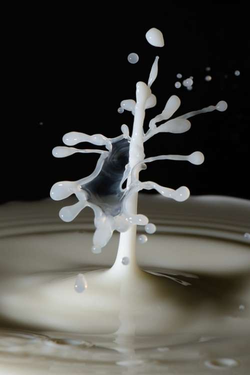 Drop Crown Milk Macro Impact Experiment