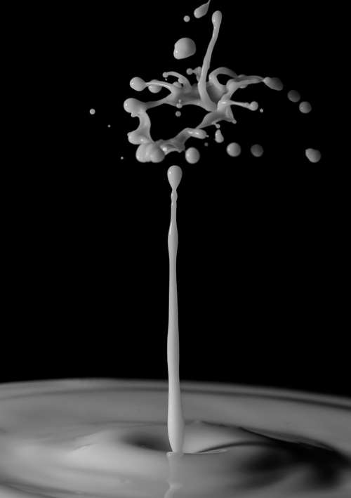 Drop Crown Milk Macro Impact Experiment Green