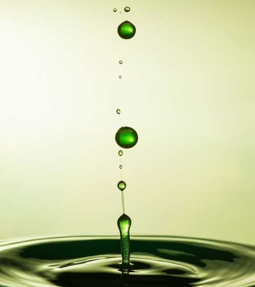 Drop Crown Water Macro Impact Experiment Green