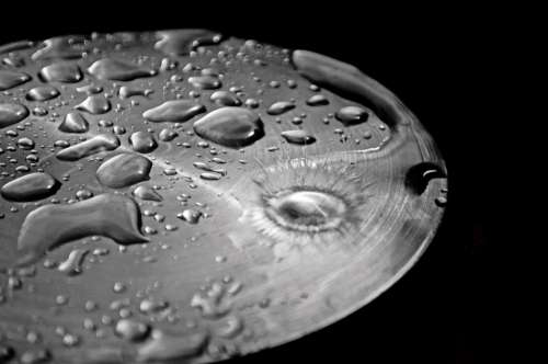 Drop Drops Rain Water Macro Background Seasons