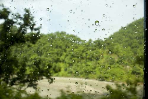 Droplets Water Leaf Window Droplet Nature
