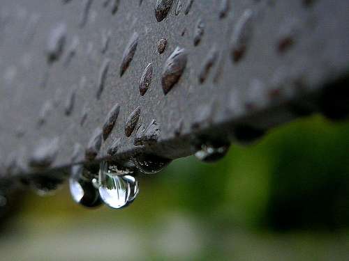 Drops Dew Or Rain Landscapes Nature