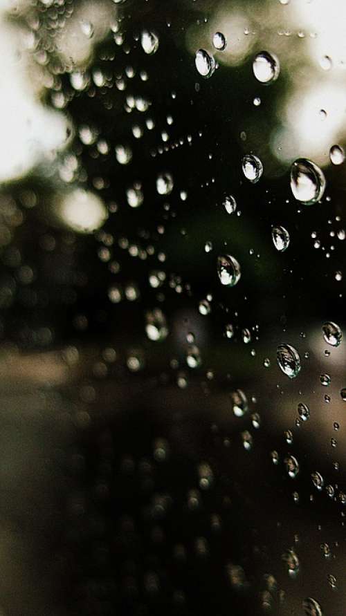 Drops Rain Water Pearls Bubble Beautiful Window