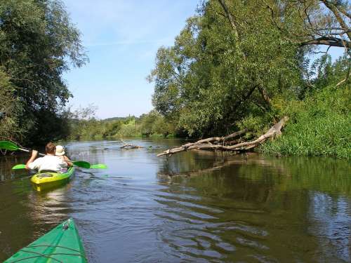 Drwęca River Kayaks Rafting Poland Kajakować