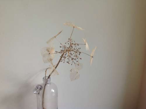 Dry Flower Vase Flower Branch Art