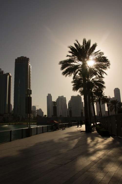 Dubai Palm Evening Sky Setting Sun Sun Sunset Uae