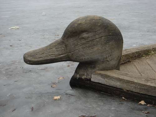 Duck Bird Pond Imitation Wood Head