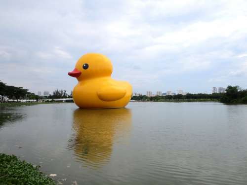 Duck Art Duck Tour Florentijn Hofman