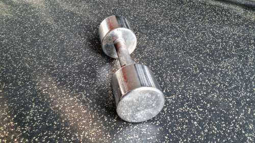 Dumbbell Fitness Training Sport Fit Sporty Gym
