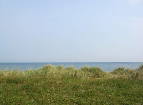 Dune Dune Grass Baltic Sea Sea