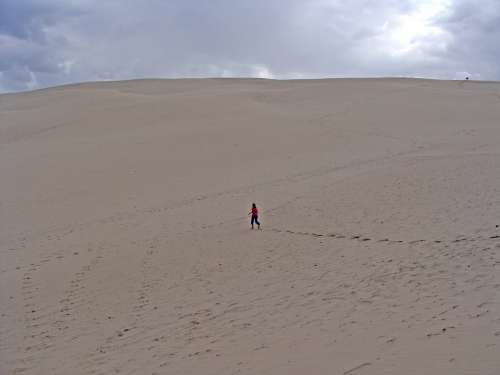 Dune Loneliness Desert France Dune Du Pilat