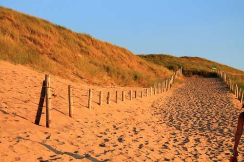 Dune Dike Away Path Fence Sand Coast Beach