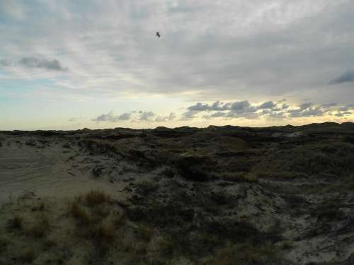 Dunes Island Amrum North Sea