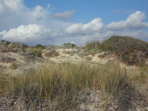 Dunes Dune Landscape Empty Fouling Sandy Rest