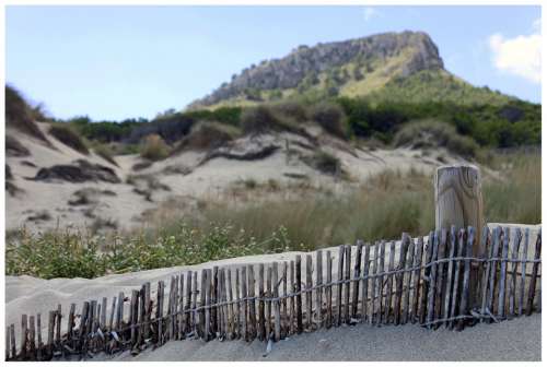 Dunes Sand Fence Nature Mallorca Blue Summer