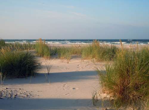 Dunes Sand Beach Sea Baltic Sea North Sea
