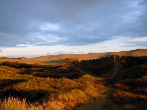 Dunes Sand Dunes Dune Landscape Evening