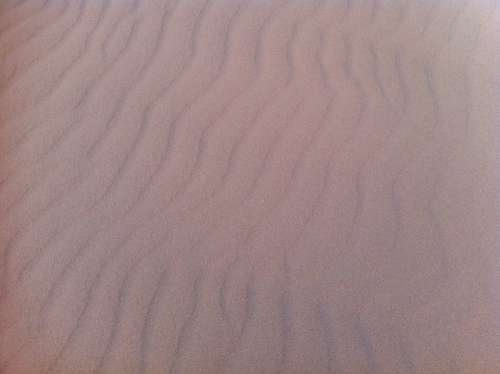 Dunes Sand Brands Nature