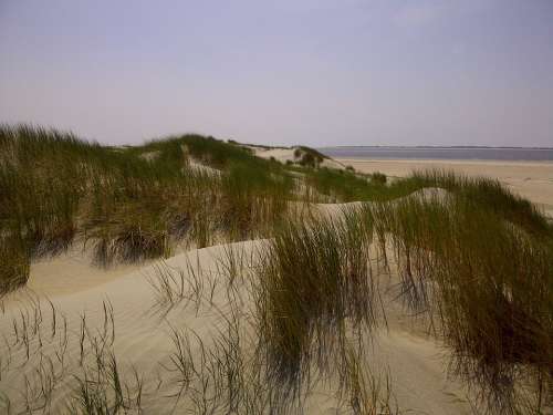 Dunes North Sea Denmark Beach Sea