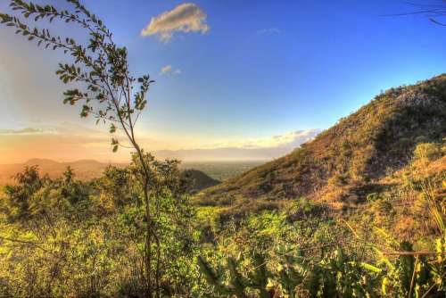 Dusk Mountain Plants Landscape Sky Scenic