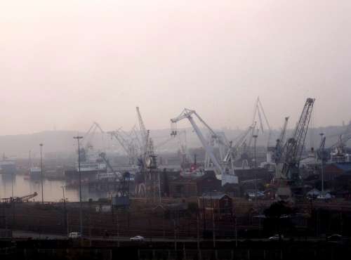 Early Morning Dawn Fog Cranes Lilac Sky Busy