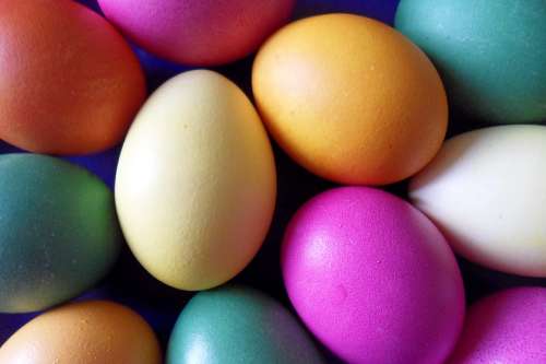 Easter Egg Easter Eggs Colorful Colored Color