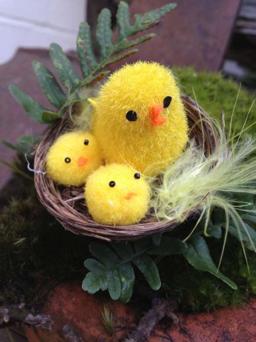 Easter Chicks Toy Nest Cute Yellow Feather Fern